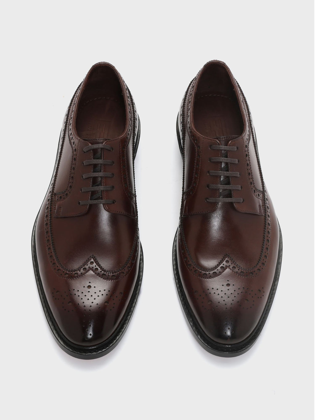 RICCARDO, LONGWING DERBY - BROWN