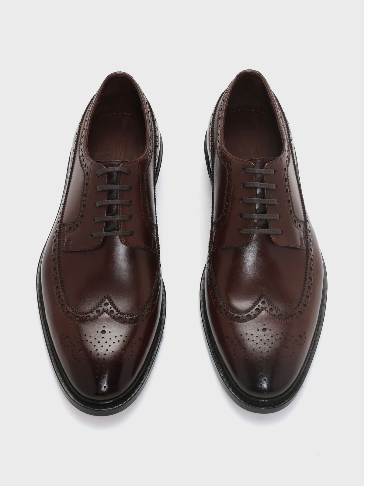 RICCARDO, LONGWING DERBY - BROWN