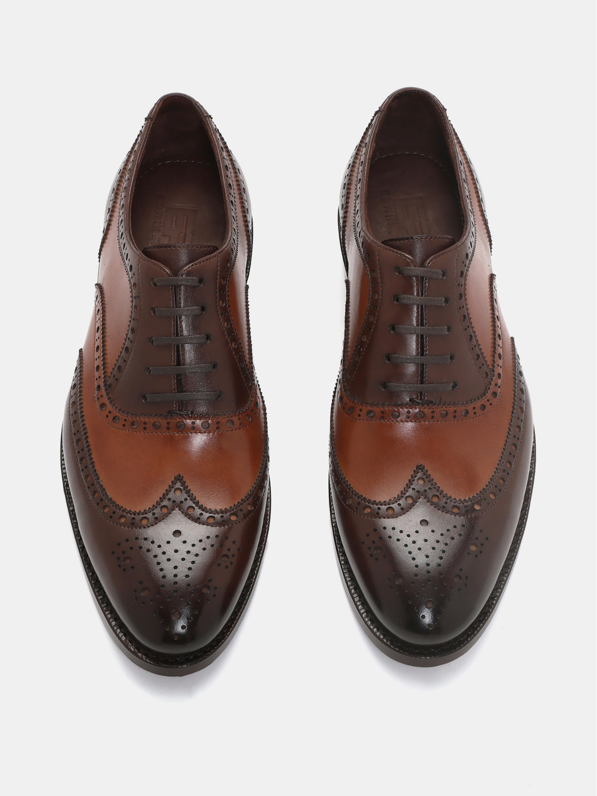VINCE, SPECTATOR OXFORD - BROWN