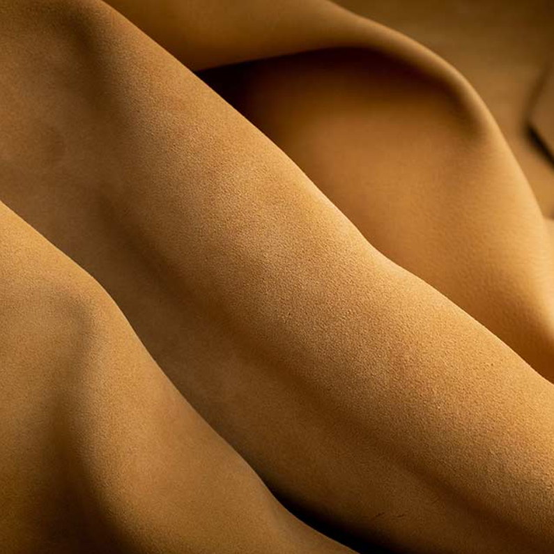 Zonta Castorino Suede : Cashew